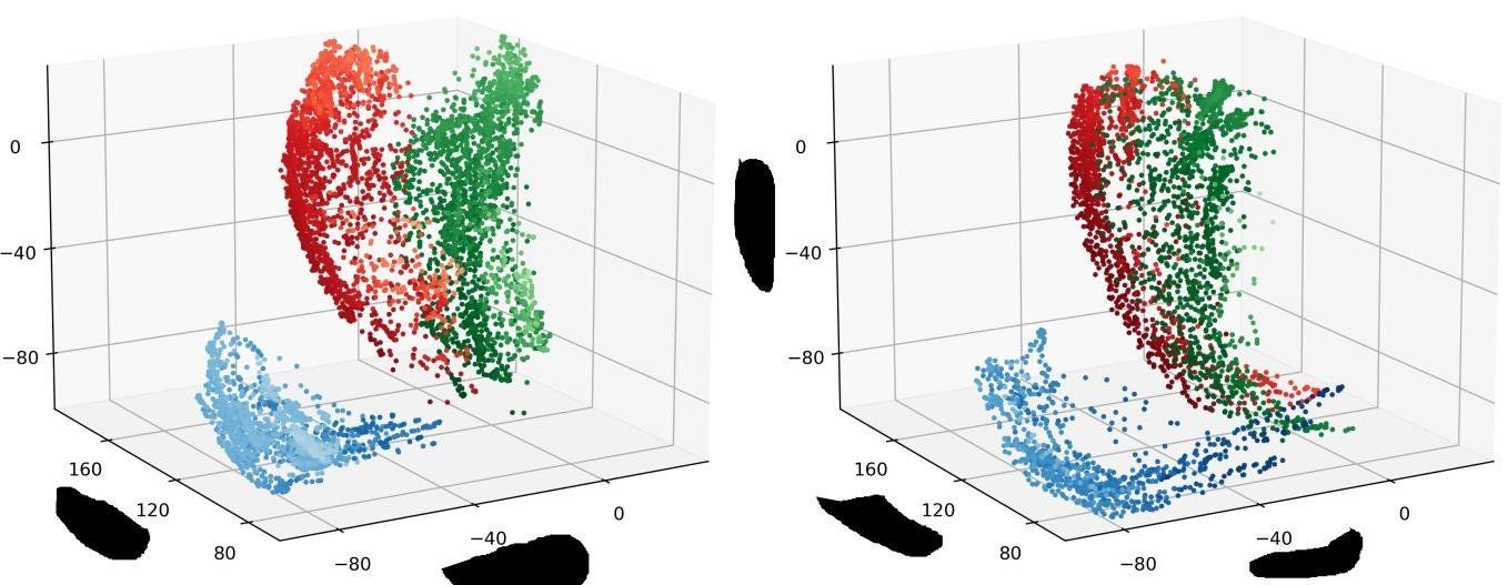 Workspace range-of-motion scatter for small and large hands